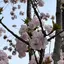 Jのプロフィール画像