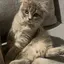 ayakaのプロフィール画像