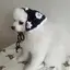 さーやのプロフィール画像