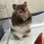 ユーミンのプロフィール画像