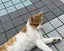 saaachanのプロフィール画像