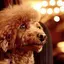 Konaのプロフィール画像