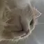 moonのプロフィール画像