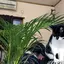 ™️のプロフィール画像