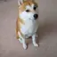 あっちゃんのプロフィール画像
