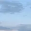 🕊のプロフィール画像