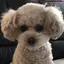 kanameのプロフィール画像