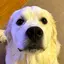 ちっぴのプロフィール画像