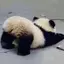 由布子のプロフィール画像