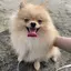 きょうのプロフィール画像