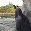 Minaのプロフィール画像