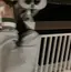 ひーちゃんのプロフィール画像