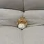 みうのプロフィール画像