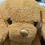 てるのプロフィール画像