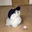 ゆのプロフィール画像
