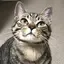 aのプロフィール画像