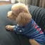 naoのプロフィール画像