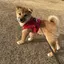 きむのプロフィール画像
