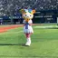 s.yのプロフィール画像