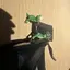 ほーのプロフィール画像