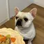 miyukiのプロフィール画像