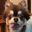 chicoのプロフィール画像