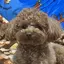 haruのプロフィール画像