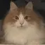 こばるんのプロフィール画像