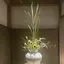 Kのプロフィール画像