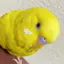 えりのプロフィール画像