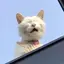 nのプロフィール画像