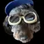 mmのプロフィール画像