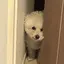 みのプロフィール画像