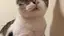 Mのプロフィール画像