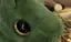 琳のプロフィール画像