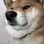 まさぽんのプロフィール画像