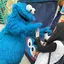 ちっひのプロフィール画像