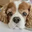 勇気のプロフィール画像
