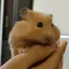 reiのプロフィール画像