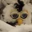 Sのプロフィール画像