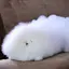 せいなのプロフィール画像