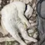みんみんのプロフィール画像