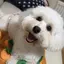 Yumaのプロフィール画像