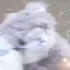 かなのプロフィール画像