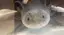 テレサのプロフィール画像