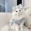 つきのプロフィール画像