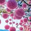 Ｍのプロフィール画像