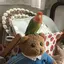 智子のプロフィール画像
