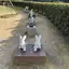 寛子Seikaのプロフィール画像