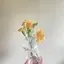 Sのプロフィール画像
